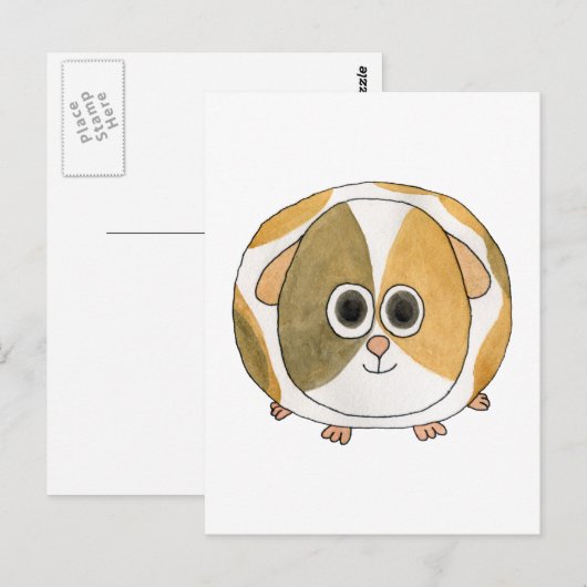モルモット。 ポストカード (正面/裏面)