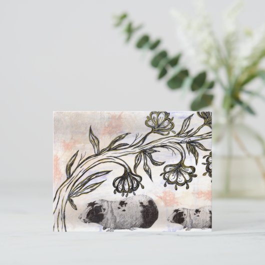 モルモット ポストカード (スタンド正面)