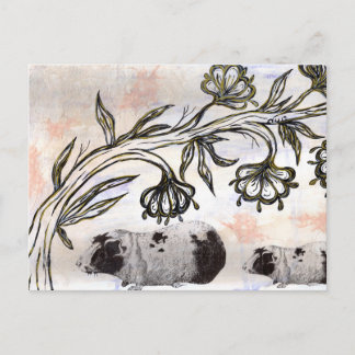 モルモット ポストカード