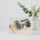 モルモット ポストカード (スタンド正面)