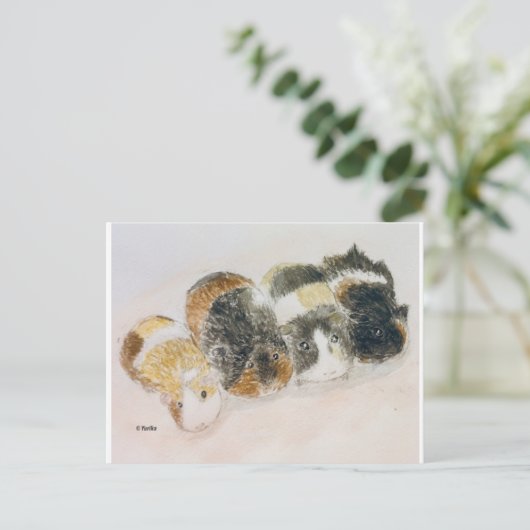 モルモット ポストカード (スタンド正面)