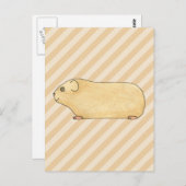 モルモット。 ポストカード (正面/裏面)