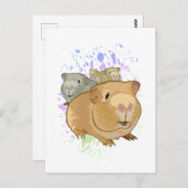 モルモット ポストカード (正面/裏面)