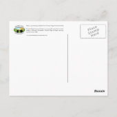 モルモット ポストカード (裏面)