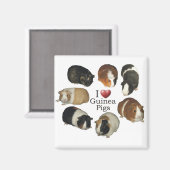 モルモット・マグネットが大好き マグネット (正面/裏面)