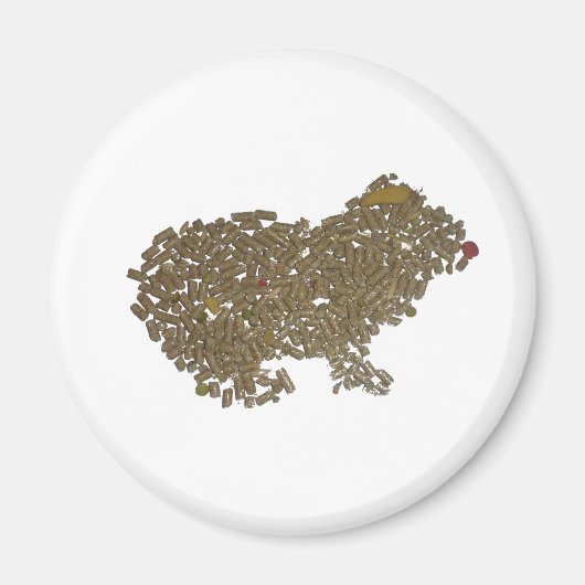 モルモット マグネット (正面)