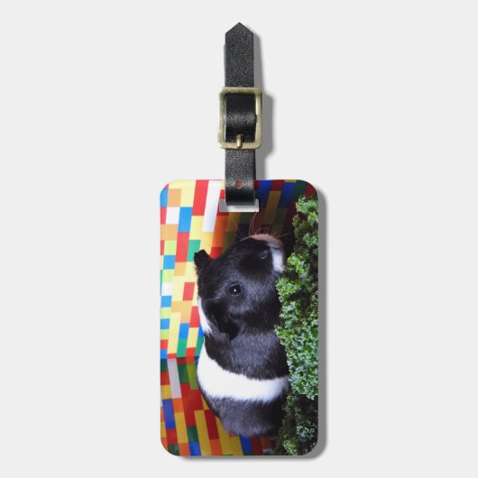 モルモット ラゲッジタグ (正面縦)