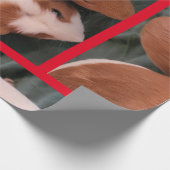 モルモット ラッピングペーパー (角)