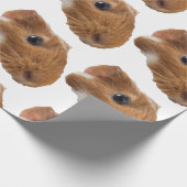 モルモット ラッピングペーパー (角)