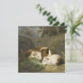 モルモット(George Morland) カード (スタンド正面)