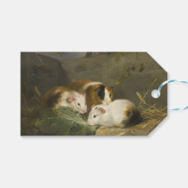 モルモット(George Morland) ギフトタグ