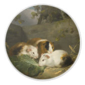 モルモット(George Morland) セラミックノブ (正面)