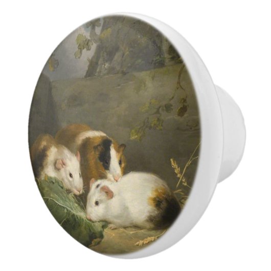 モルモット(George Morland) セラミックノブ (右)