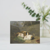 モルモット(George Morland) ポストカード (スタンド正面)