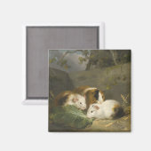 モルモット(George Morland) マグネット (正面/裏面)