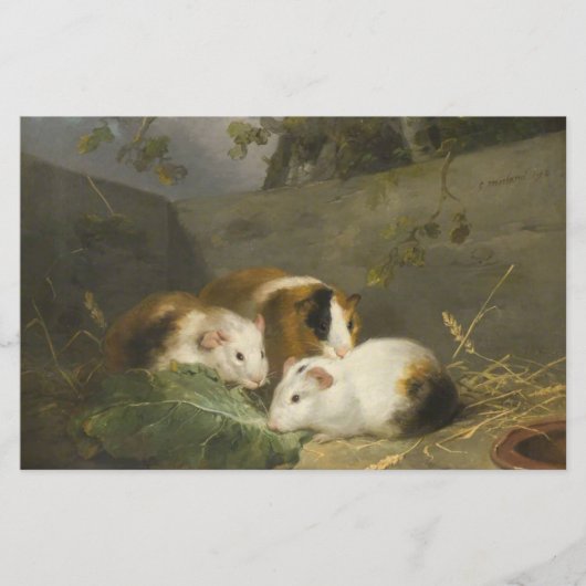 モルモット(George Morland) 便箋 (正面)