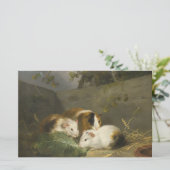 モルモット(George Morland) 便箋 (スタンド正面)