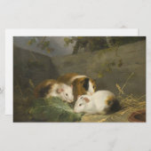 モルモット(George Morland) 便箋 (正面/裏面)