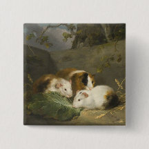 モルモット(George Morland)