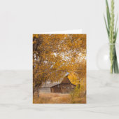 モルモン・ロー・グリーティングカード カード (正面)