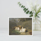 モルラン絵を描ド・モルランドのモルモット ポストカード (スタンド正面)