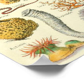 モルルスクアドルフミロイラストレーション ポスター (角)