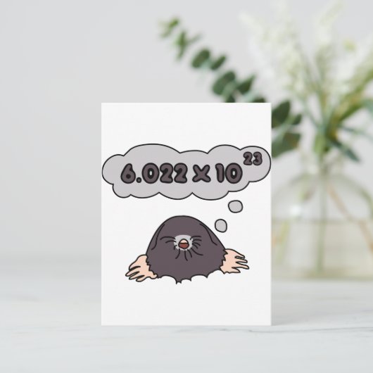 モル ポストカード (スタンド正面)