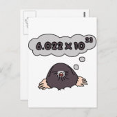 モル ポストカード (正面/裏面)