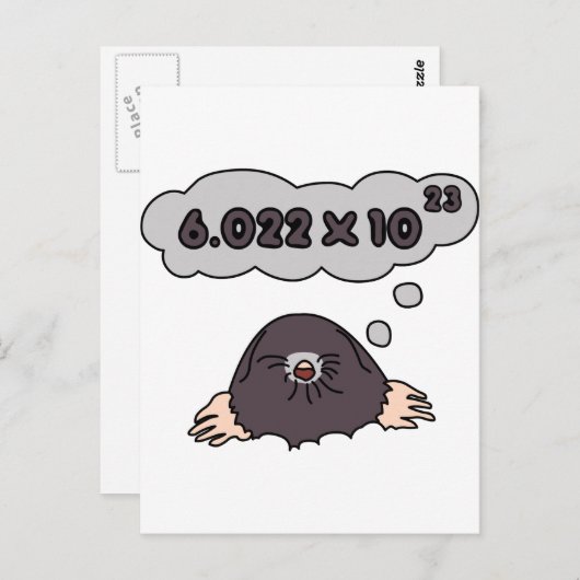 モル ポストカード (正面/裏面)