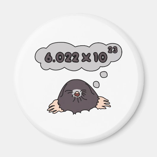 モル マグネット (正面)