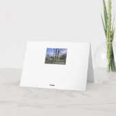 モレカムベイビュー カード (裏面)