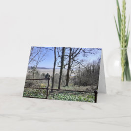 モレカムベイビュー カード