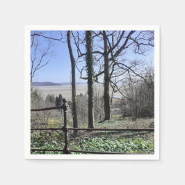 モレカムベイビュー スタンダードカクテルナプキン