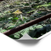 モレカムベイビュー ポスター (角)