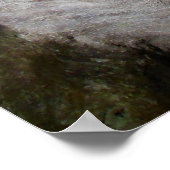 モレトンベイフィグツリールーツ ポスター (角)