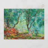 モレノガーデンのオリーブの木， 1884 ポストカード (正面)