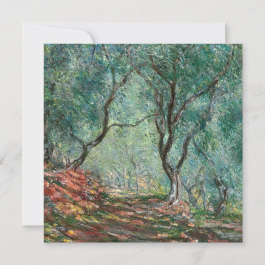 モレノガーデンズのオリーブの木(by Monet) カード (正面)