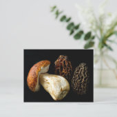 モレルとボレット王 ポストカード (スタンド正面)