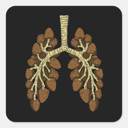 モレルマッシュルームギフトメンズモレルマッシュルームハンター スクエアシール (正面)