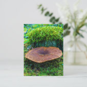 モレルマッシュルーム緑の自然草のコテージ ポストカード (スタンド正面)