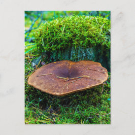 モレルマッシュルーム緑の自然草のコテージ ポストカード