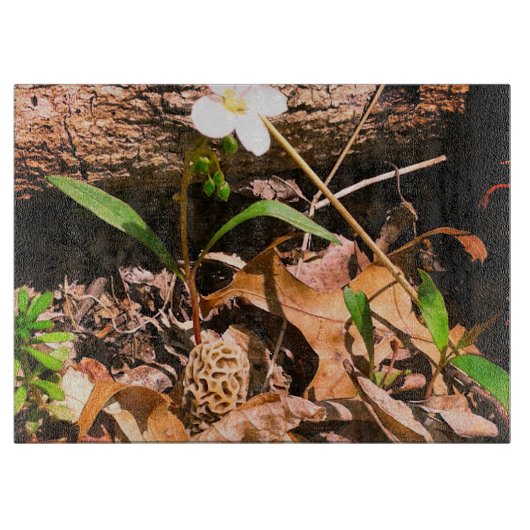 モレル カッティングボード (正面)