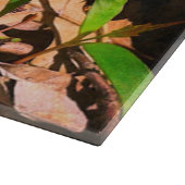 モレル カッティングボード (角)