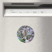 モレル・キノコ磁石 マグネット (インサイチュ (食洗機))