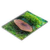 モレル・マッシュルーム・グリーン・自然・グラス ノートブック (左側)