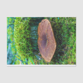 モレル・マッシュルーム・グリーン・自然・グラス 薄葉紙