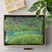 モレル・マッシュルーム・グリーン・自然・グラス 薄葉紙 (ギフト)