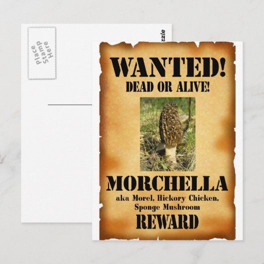 モレル – Wanted Poster ポストカード (正面/裏面)