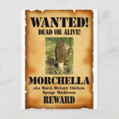 モレル – Wanted Poster ポストカード (正面)