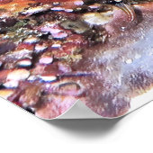 モレーエマージング ポスター (角)